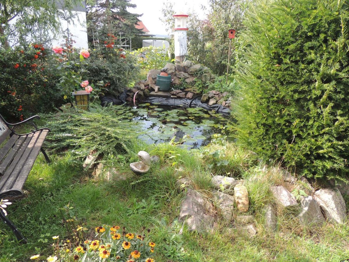 Ferienwohnung Am Hausberg In راديبول المظهر الخارجي الصورة